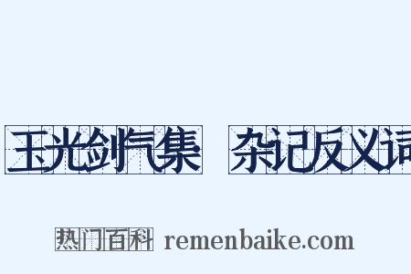 玉光剑气集·杂记反义词是什么意思的图片